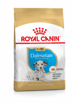 Dalmatian Puppy для щенков породы далматин