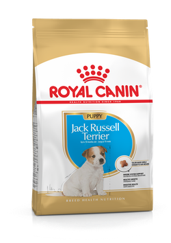 Jack Russell Terrier Puppy для щенков породы Джек Рассел терьер