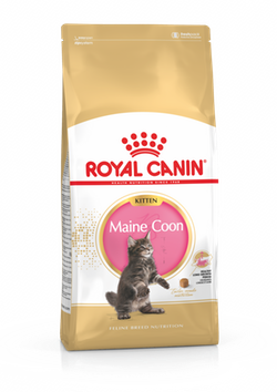 Royal Canin Maine Coon Kitten - Корм сухой полнорационный сбалансированный для кошек - Специально для котят породы Мэйн Кун